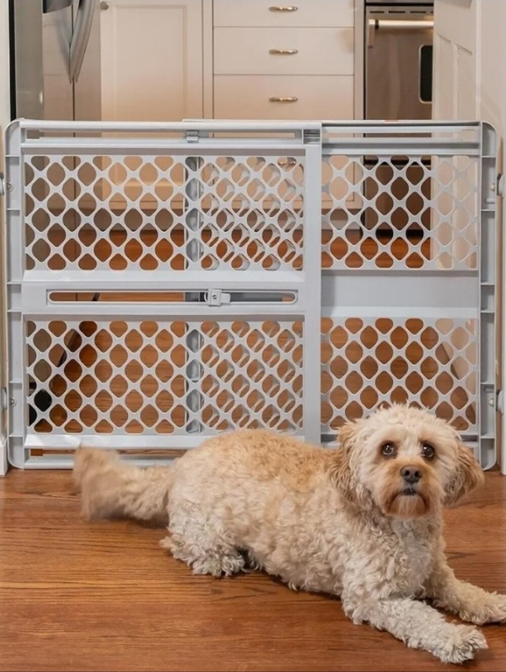 Pet/Baby Safety Gate